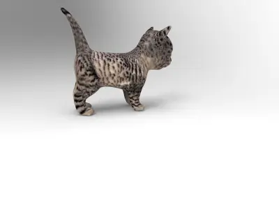 3D wild cat low poly  Low-poly 3D model