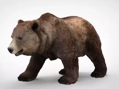 GRIZZLY BEAR Low-poly 3D model