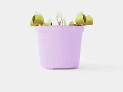 Dionaea muscipula Low-poly 3D model