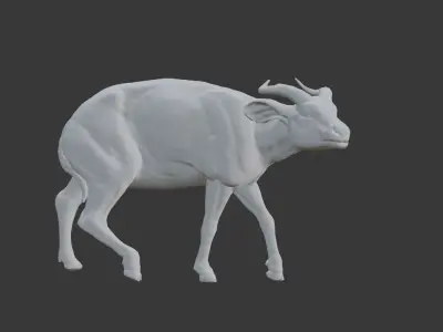Female Bongo Antelope Realistic 3D model