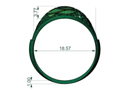 Floral ring 3D print model