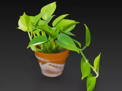 3D Pothos Plant Pot 3D model