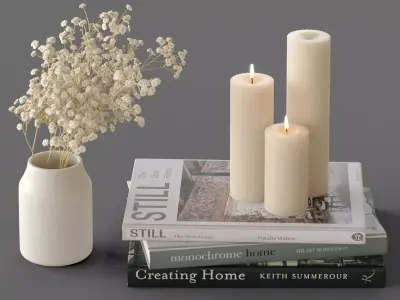 Decor Gypsophila candles and books Set 44 3D model