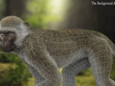 Monkey Ververt FUR Rig 02 3D model