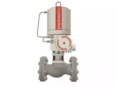 Control Valve Model Low-poly 3D model