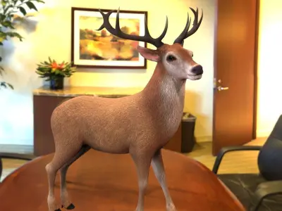 Reindeer or deer 3d model 3D model
