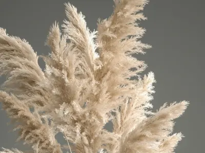Bouquet of dried white reeds in a Vase 145 3D model