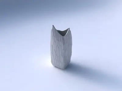Vase double arc rectangle with organic cells 3D print model