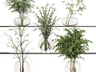 collection Plants Bouquet Indoor glass vase 06 3D model