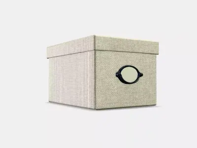 KVARNVIK box with lid Low-poly 3D model