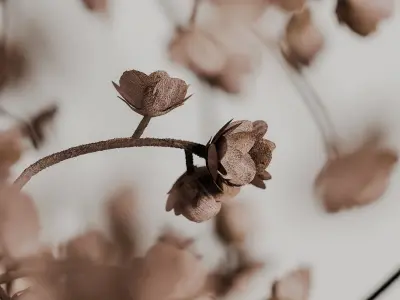 decorative set 117 3D model