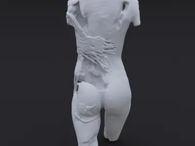 Carved Body 3D model