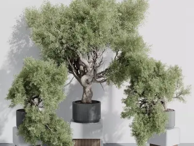 indoor plant set 389 tree bush concrete dirt vase Low-poly 3D model