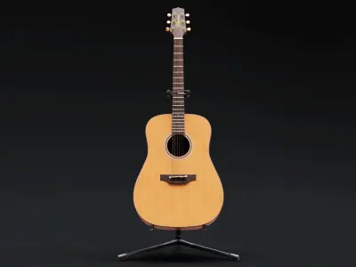 Takamine Guitar with support 3D model