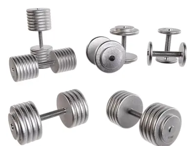 Dumbbells two metal 3D model