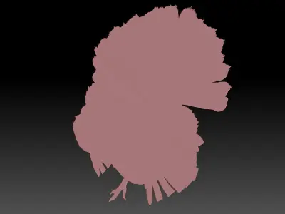 Turkey 3D print model