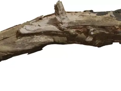 Photoreal Fallen Log  Low-poly 3D model