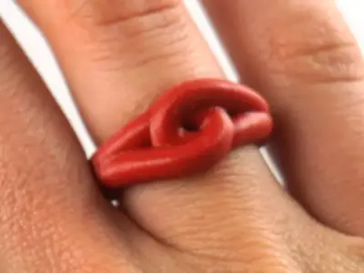 true lover s knot 3D print model