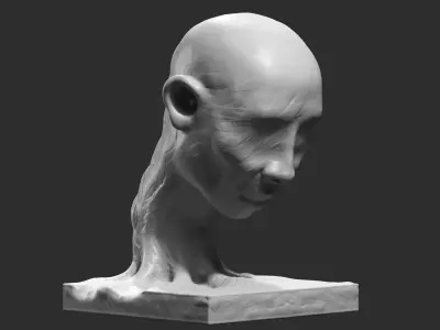 human head modern sculpture 3d print model 82 3D print model