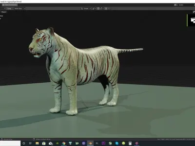 the Most Advanced Rigged Tiger for blender  its Here Low-poly 3D model