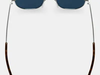 Renaldo Sunglasses in Antique Silver 3D model