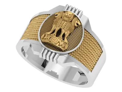 Indian Ashoka Ring 3D print model