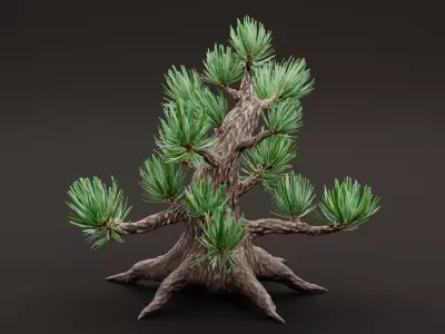 Stylized Pine Bonsai Tree Low-poly 3D model