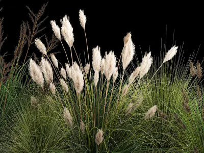 Decorative Bushes For Landscaping 1120 3D model