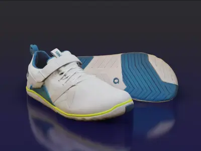 Xero Forza Trainer Clean scan 3D model