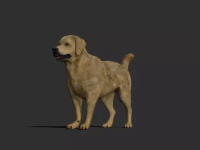 Dog rigged and animated Low-poly 3D model