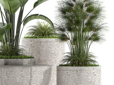 Plants 291 3D model