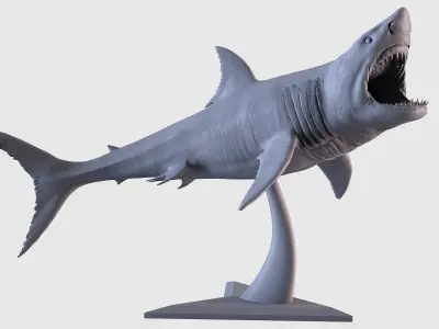 White Shark Statue 3D print model
