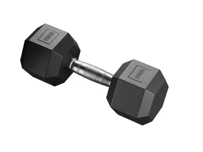 10 Kg Dumbbell 3D model