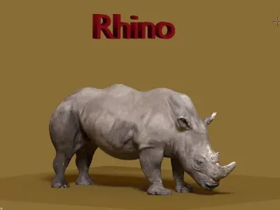 rhino 3D model 4