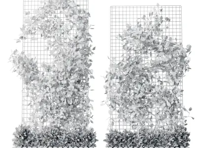 The plant on the grid 4 models and sizes with wooden box 3D model