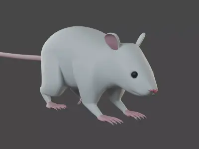 Rat 3d model 3D model