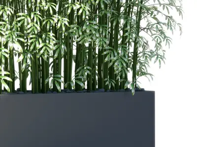 PLANTS 189 3D model