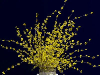 Bouquet of forsythia bush branches in glass vase 3D model