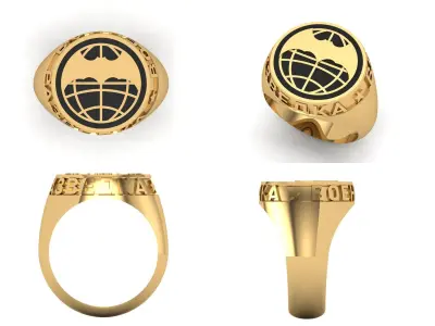 Ring  rz10 3D print model