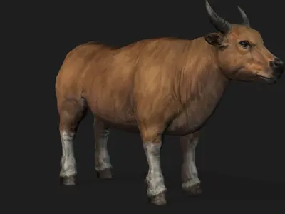 Realistic Cow Bull with Rigged body and Animation Low-poly 3D model