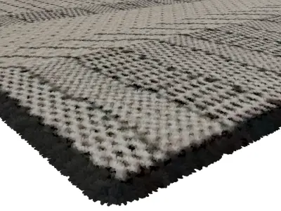 Rug Set 1496 3D model