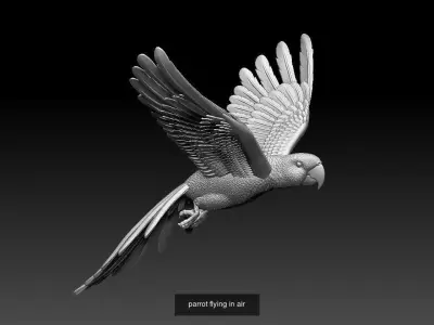 parrots 3D Model Collection