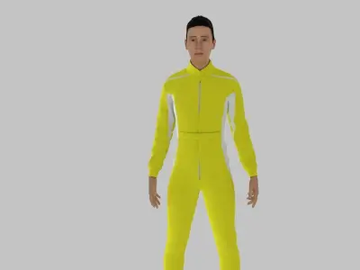 Race Driver Low-poly 3D model get