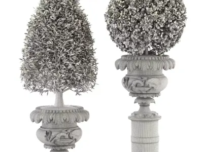 Outdoor Plant 06  Neoclassical Style 3D model