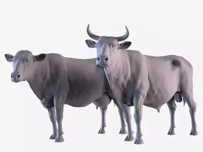 Cow and Bull 3D print model