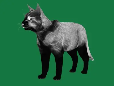 Ginger Cat  Low-poly 3D model