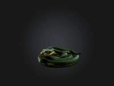 Realistic Snake Model Low-poly 3D model