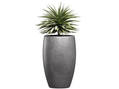 Decorative Outdoor Porch Front Entrance Tree  3D model