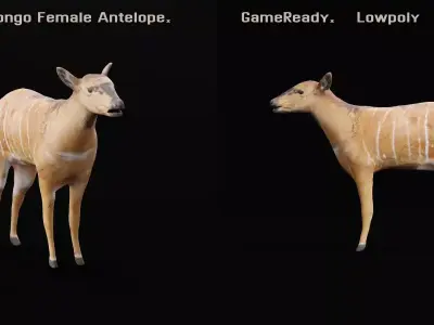 Eastern Bongo Female Antelope  Low-poly 3D model