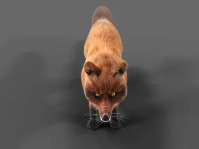 Hair Fur Red Fox  Low-poly 3D model